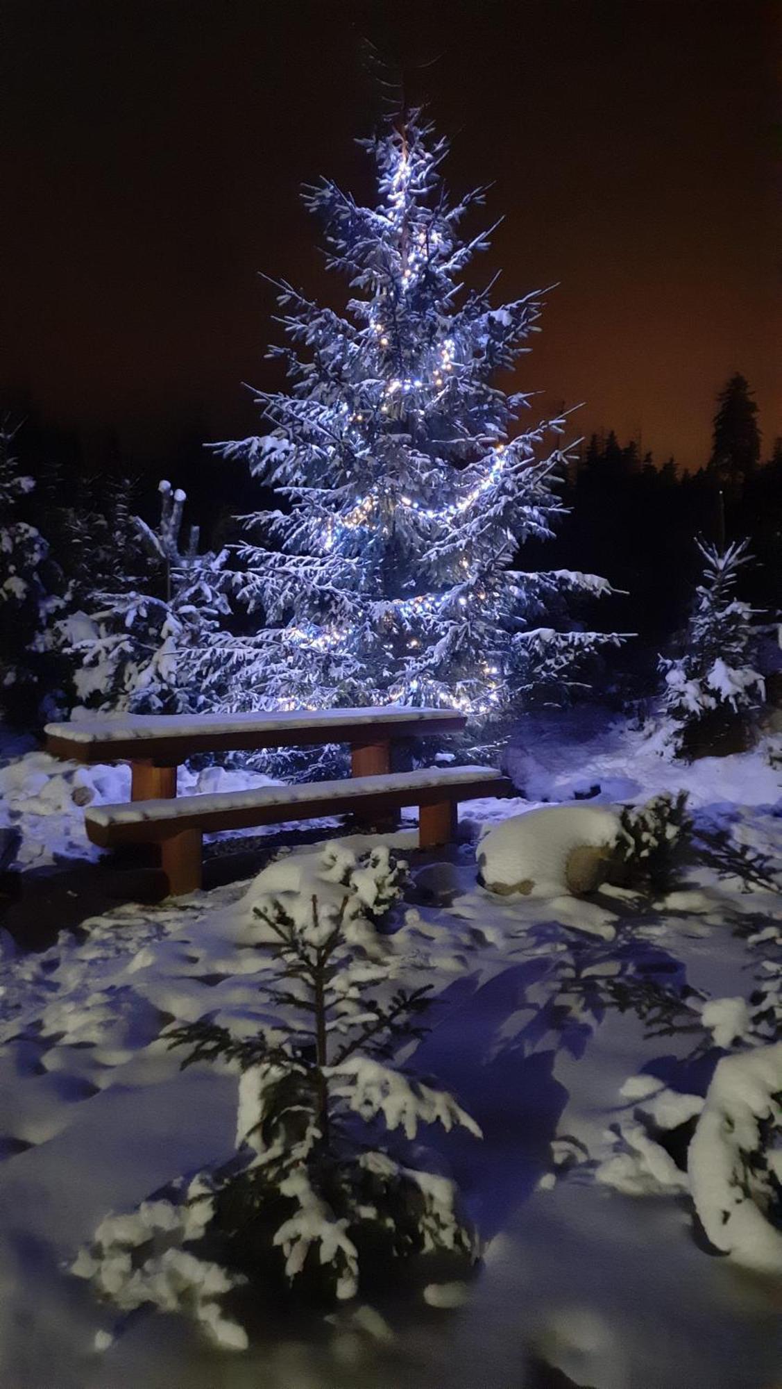 Goralska Chata Przy Dolinie Chocholowskiej Witów Exteriör bild
